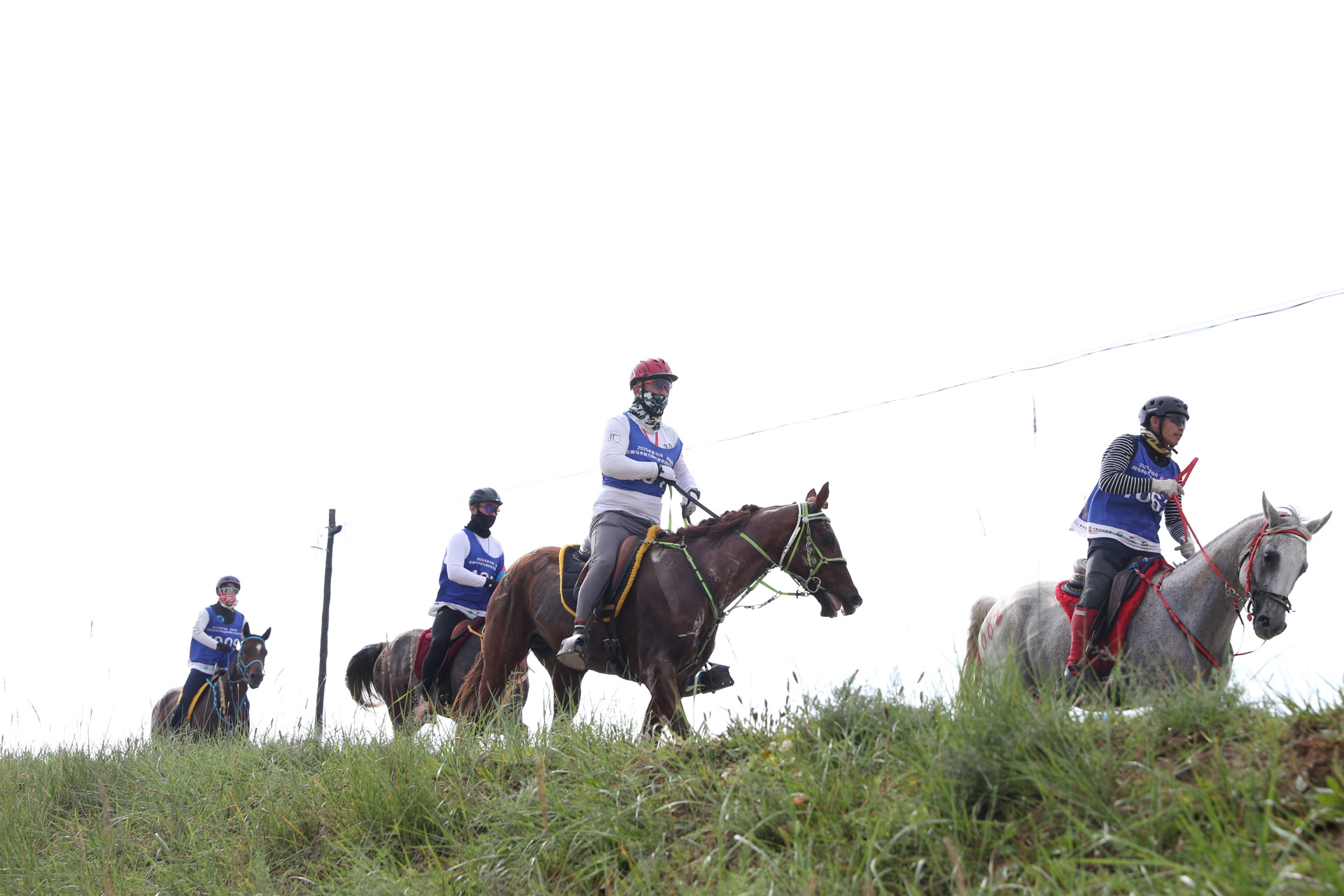 际马联赛事 际马联赛事