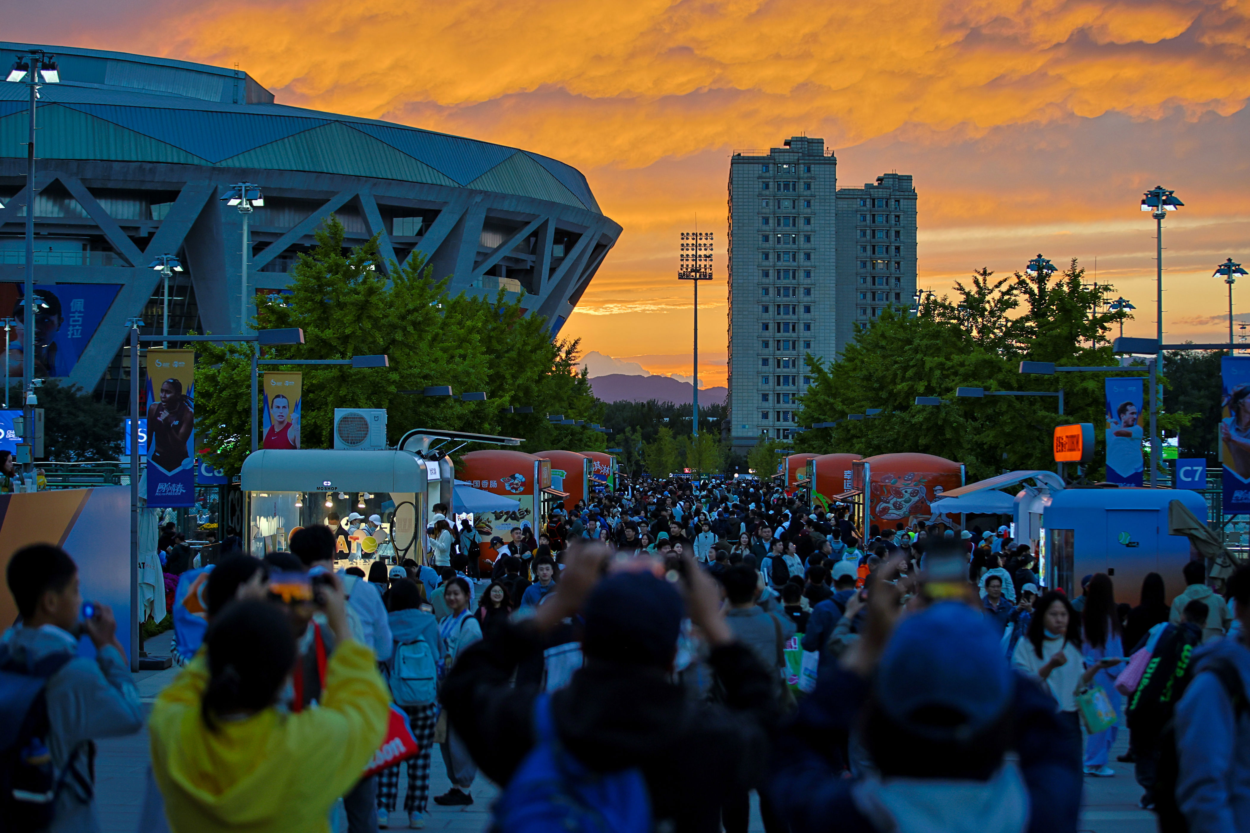 球迷可通过, 日举行, 一辛纳连续 球迷可通过, 日举行, 一辛纳连续
