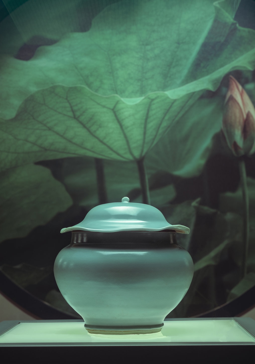 挨个打卡, 馆内上新集 挨个打卡, 馆内上新集